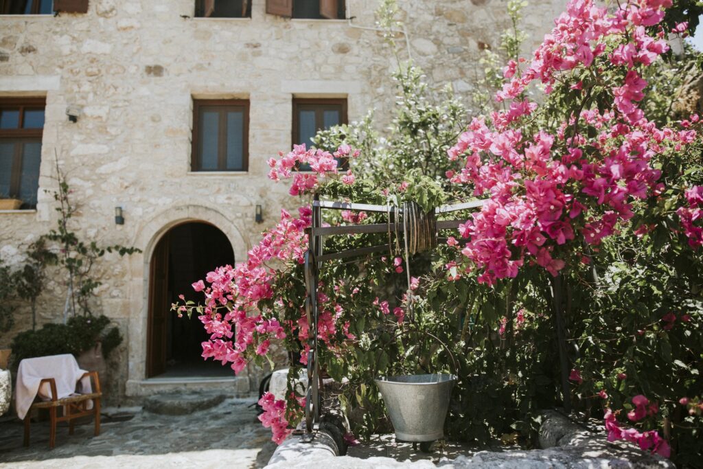 The water well and the pink flowers in the garden at Agreco Farm. | Esthesis Events The water well and the pink flowers in the garden at Agreco Farm. | Esthesis Events