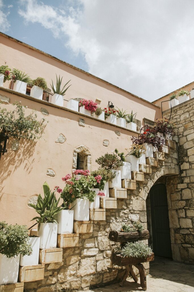 A scenic view of Agreco Farm showcasing rustic stone steps and lush greenery. | Esthesis Events A scenic view of Agreco Farm showcasing rustic stone steps and lush greenery. | Esthesis Events