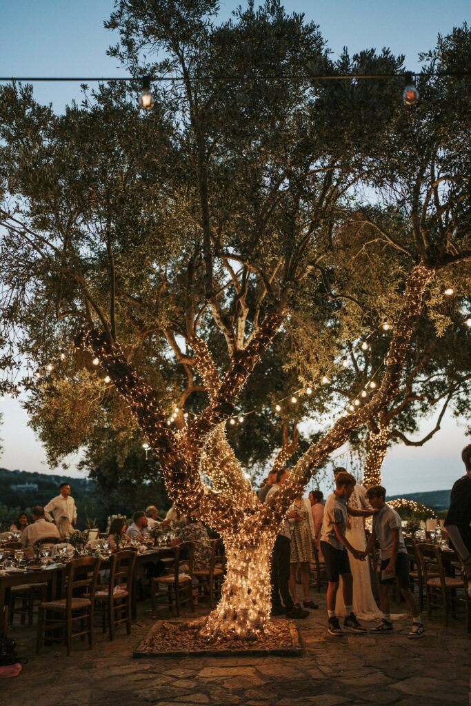 Decorated olive tree overlooking the Agreco Farm feast. | Esthesis Events Decorated olive tree overlooking the Agreco Farm feast. | Esthesis Events