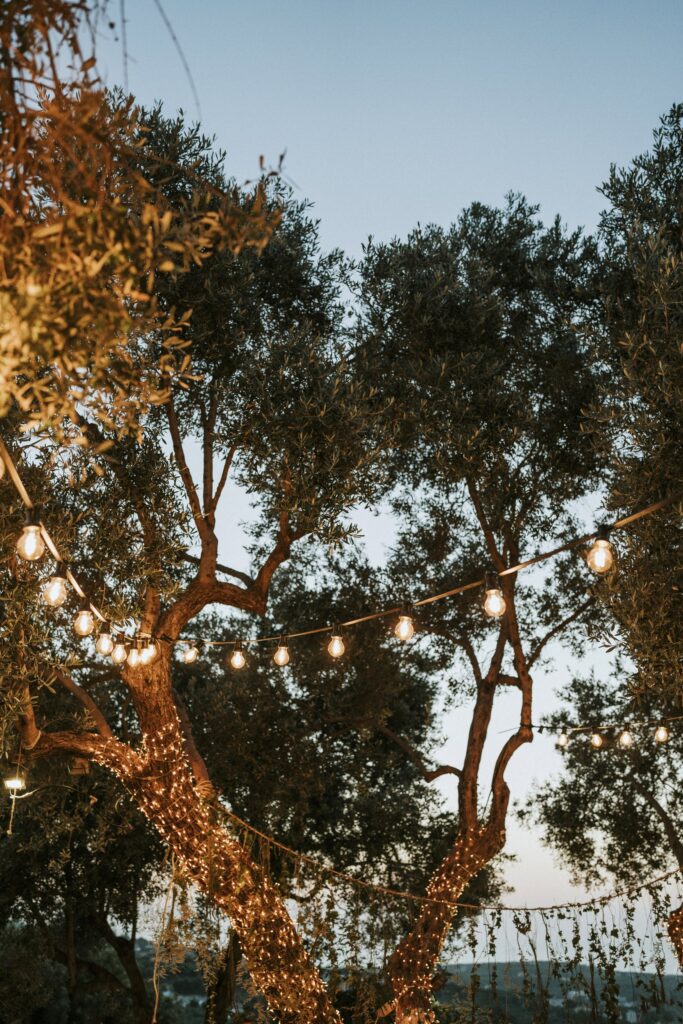 Decorated olive trees at the wedding reception dinner. | Esthesis Events Decorated olive trees at the wedding reception dinner. | Esthesis Events