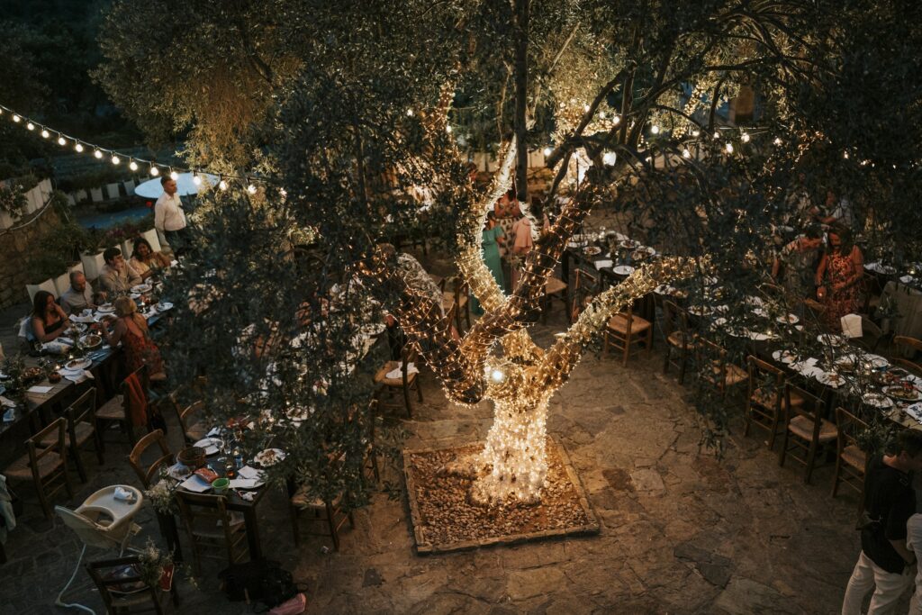 Decorated olive tree overlooking the Agreco Farm feast. | Esthesis Events Decorated olive tree overlooking the Agreco Farm feast. | Esthesis Events