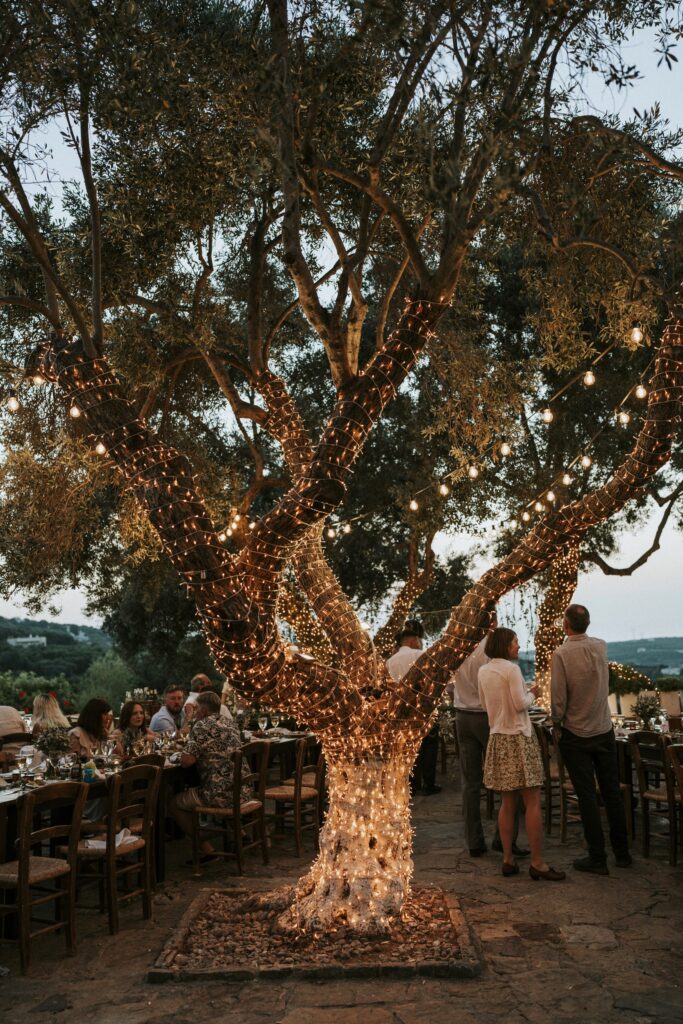 Decorated olive tree overlooking the Agreco Farm feast. | Esthesis Events Decorated olive tree overlooking the Agreco Farm feast. | Esthesis Events
