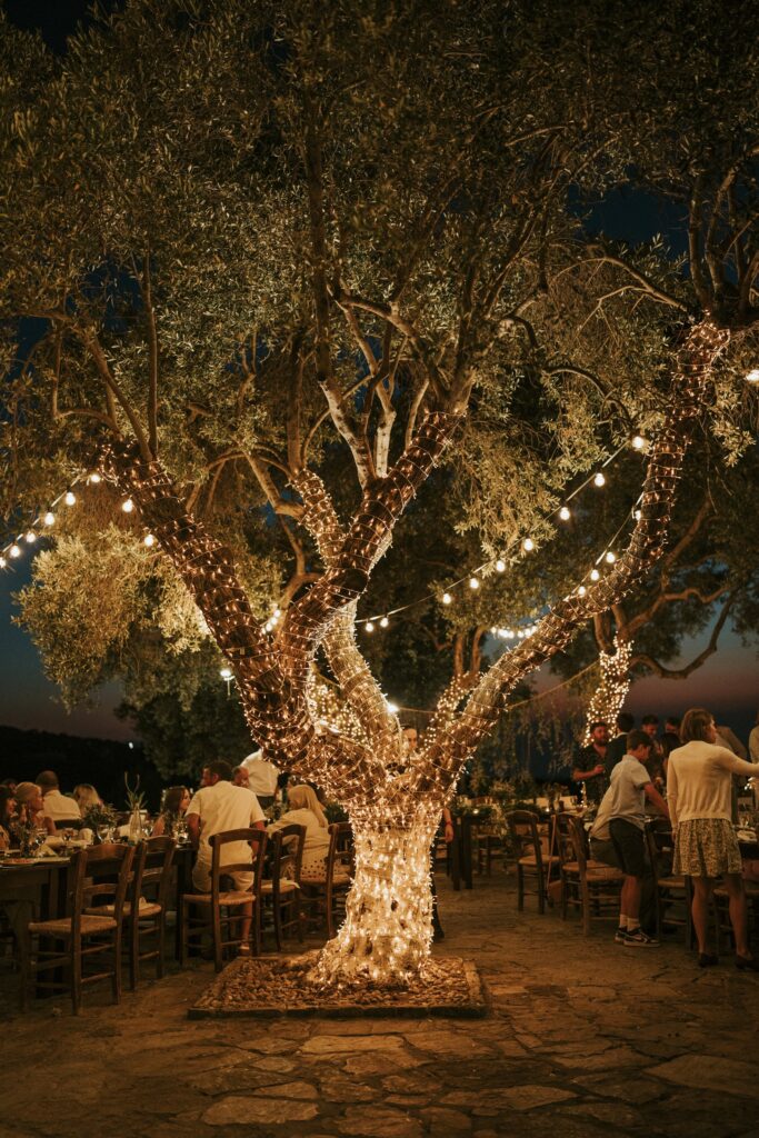 Large decorated olive tree at the wedding reception. | Esthesis Events Large decorated olive tree at the wedding reception. | Esthesis Events